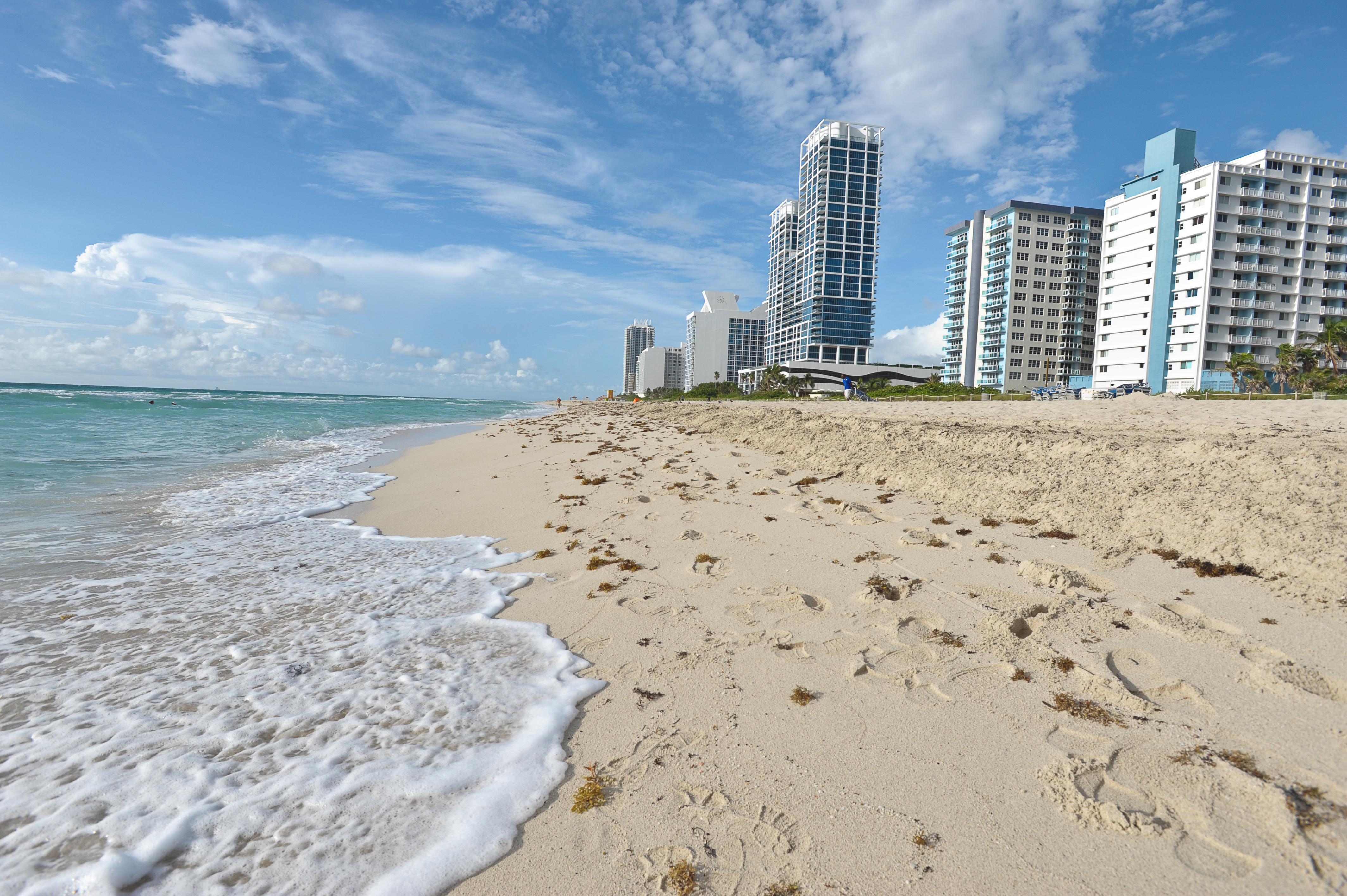 Crystal Beach Suites Miami Oceanfront Hotel Miami Beach Doğa fotoğraf